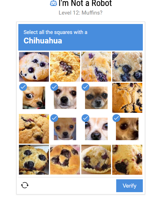 Level 12 Chihuahua Features Highlighted